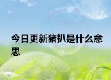 今日更新猪扒是什么意思