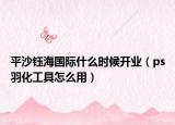 平沙钰海国际什么时候开业（ps羽化工具怎么用）