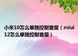 小米10怎么单独控制音量（miui12怎么单独控制音量）