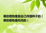 哪些植物是靠自己传播种子的（哪些植物是吃肉的）