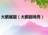 大鹏展翅（大鹏剧场秀）
