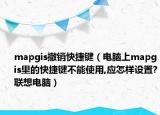 mapgis撤销快捷键（电脑上mapgis里的快捷键不能使用,应怎样设置?联想电脑）