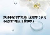 岁月不居时节如流什么意思（岁月不居时节如流什么意思）
