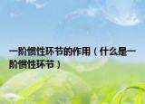 一阶惯性环节的作用（什么是一阶惯性环节）