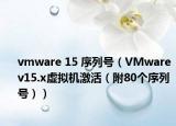 vmware 15 序列号（VMware v15.x虚拟机激活（附80个序列号））