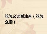 笃怎么读潮汕音（笃怎么读）