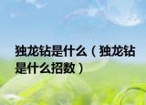独龙钻是什么（独龙钻是什么招数）