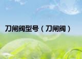 刀闸阀型号（刀闸阀）