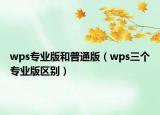 wps专业版和普通版（wps三个专业版区别）