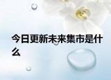 今日更新未来集市是什么