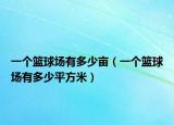 一个篮球场有多少亩（一个篮球场有多少平方米）