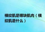 横纹肌是哪块肌肉（横纹肌是什么）