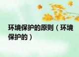 环境保护的原则（环境保护的）