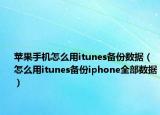 苹果手机怎么用itunes备份数据（怎么用itunes备份iphone全部数据）