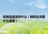 蛇蜕变成龙叫什么（蜕蛇化龙是什么意思）