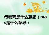 母鹌鹑是什么意思（mac是什么意思）