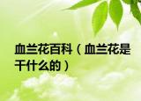 血兰花百科（血兰花是干什么的）