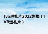 tvb巡礼片2022剧集（TVB巡礼片）