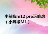 小辣椒m12 pro玩吃鸡（小辣椒M1）