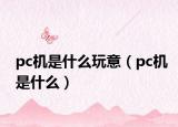 pc机是什么玩意（pc机是什么）