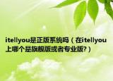 itellyou是正版系统吗（在itellyou上哪个是旗舰版或者专业版?）