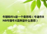 牛掰和牛b是一个意思吗（牛逼牛BNB牛掰牛X流弊是什么意思）