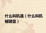 什么叫机遇（什么叫机械键盘）