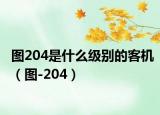 图204是什么级别的客机（图-204）