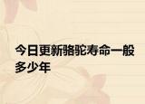 今日更新骆驼寿命一般多少年