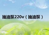 抽油泵220v（抽油泵）