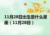 11月28日出生是什么星座（11月28日）