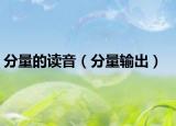 分量的读音（分量输出）