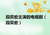 段奕宏主演的电视剧（段奕宏）