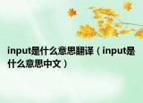 input是什么意思翻译（input是什么意思中文）