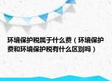 环境保护税属于什么费（环境保护费和环境保护税有什么区别吗）