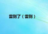 雷到了（雷到）