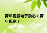 青年视觉电子杂志（青年视觉）
