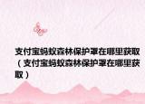 支付宝蚂蚁森林保护罩在哪里获取（支付宝蚂蚁森林保护罩在哪里获取）