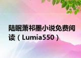 陆眠萧祁墨小说免费阅读（Lumia550）