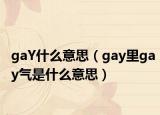 gaY什么意思（gay里gay气是什么意思）