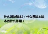 什么叫做脚本?（什么是脚本脚本有什么作用）