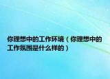 你理想中的工作环境（你理想中的工作氛围是什么样的）