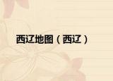 西辽地图（西辽）