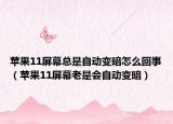 苹果11屏幕总是自动变暗怎么回事（苹果11屏幕老是会自动变暗）