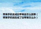 苹果手机变成白苹果是怎么回事（苹果手机现在成了白苹果怎么办）