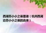 西湖苏小小之墓是谁（杭州西湖边苏小小之墓的由来）
