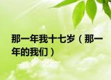 那一年我十七岁（那一年的我们）