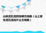 山体泥石流时向哪方向跑（山上发生泥石流往什么方向跑）