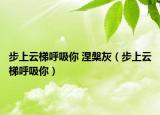 步上云梯呼吸你 涅槃灰（步上云梯呼吸你）