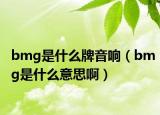 bmg是什么牌音响（bmg是什么意思啊）